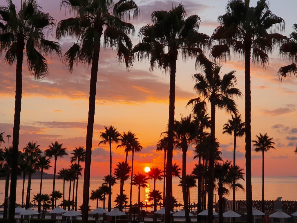 Sonnenuntergang an der Küste; Meer, Strand und Palmen