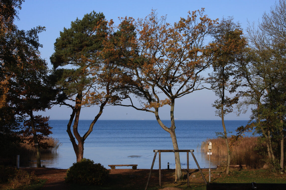 See, Bäume, blauer Himmel